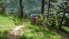 varneralp_18_1_028