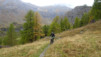 varneralp_19-2_007
