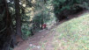 varneralp_19-2_008
