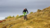 varneralp_19-2_020