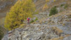varneralp_19-2_026