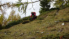 varneralp_19-2_035