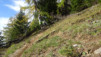 varneralp_19-2_040