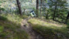 varneralp_19-2_042