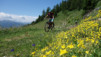 varneralp_19_i_002