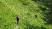 varneralp_19_i_003