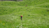 varneralp_19_i_004