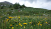 varneralp_19_i_014