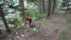 varneralp_19_i_027