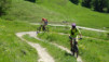 varneralp_2016_1_003