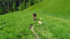 varneralp_2016_1_005