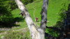 varneralp_2016_1_008