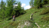 varneralp_2016_1_011