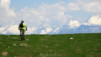 varneralp_2016_1_018