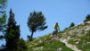 varneralp_2016_1_028