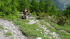 varneralp_2016_1_029