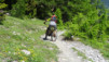 varneralp_2016_1_030