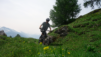 varneralp_2021_1_004