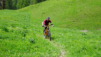 varneralp_2021_1_006