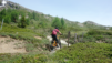 varneralp_2021_1_007