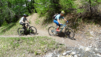 varneralp_2021_1_009