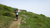 varneralp_2021_1_017