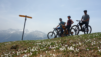 varneralp_2021_1_019