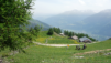 varneralp_2021_1_031