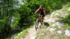 varneralp_2021_1_032