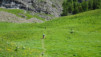 varneralp_20_i_006