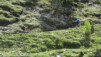 varneralp_20_i_015