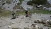 varneralp_20_i_018