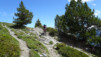 varneralp_20_i_028