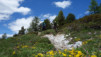 varneralp_20_i_033