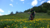varneralp_20_i_037