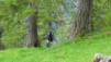via_francigena_012