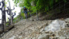 via_francigena_022