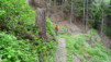 via_francigena_028