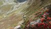 vuardette_express_025