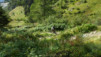vuardette_express_038
