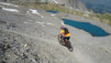 wild_18_019