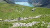 wild_18_032
