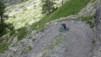 wild_18_034