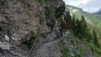 wild_18_037