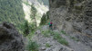 wild_18_039