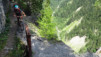 wild_18_042