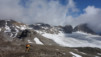 wildstrub_19_005