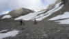 wildstrub_19_007