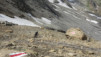 wildstrub_19_013