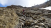 wildstrub_19_014